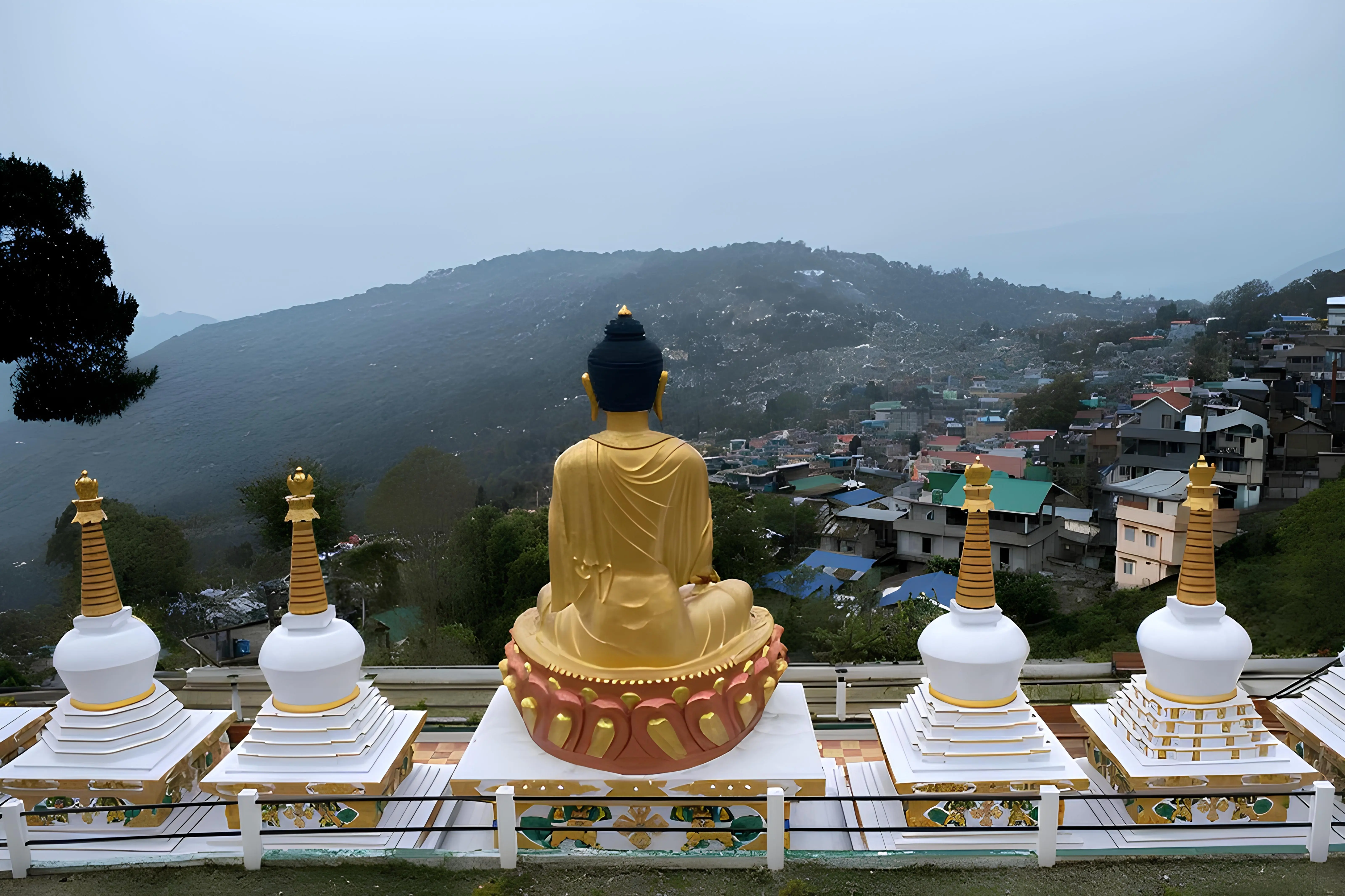 Travel Hill & Wild (Gorumara Rishop Lava  4 Nights/5 Days)